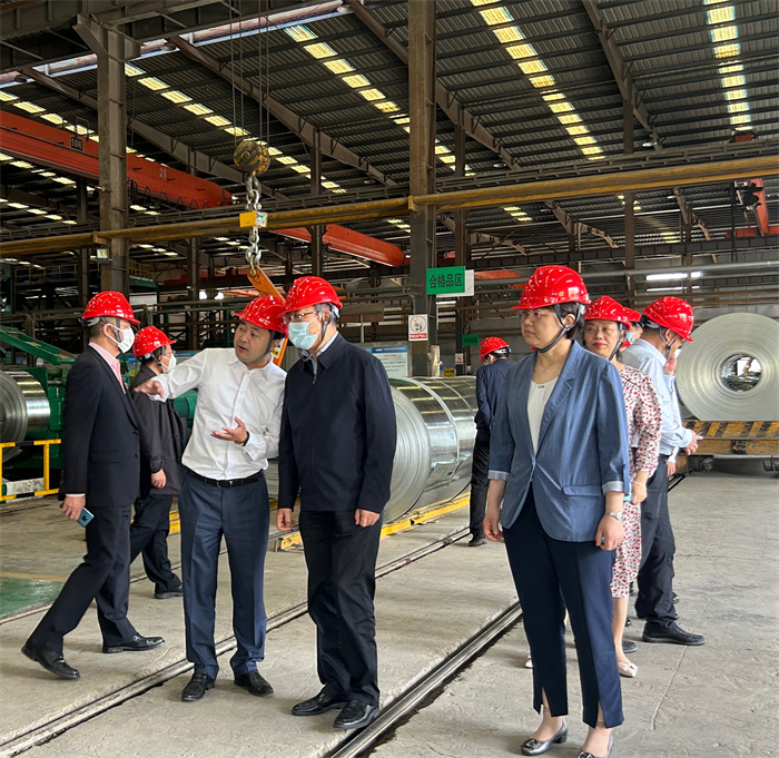 民建中央領導走訪我司